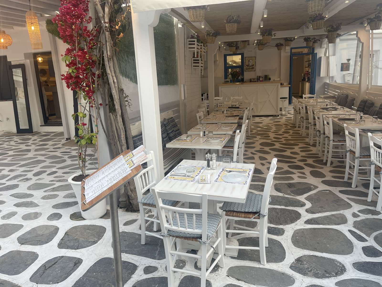 giagia Katerno Gallery Image